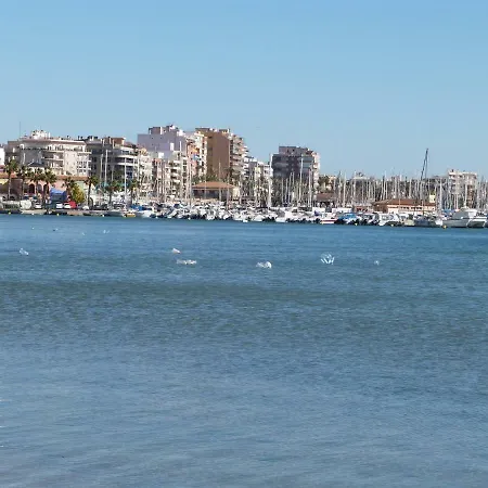 - Calle Benejuzar Torrevieja